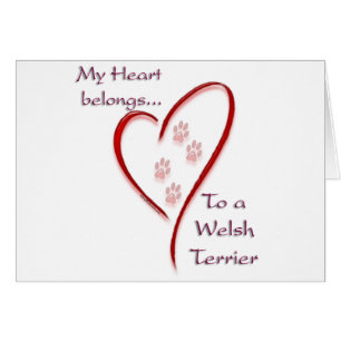 Welsh Terrier Heart Belongs