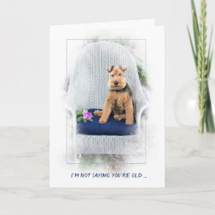 Welsh Terrier in chair getting old Card