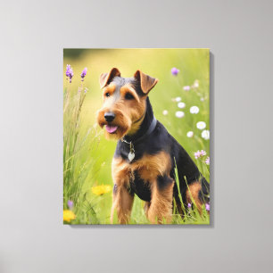 Welsh Terrier In Wildflower Meadow Canvas Print