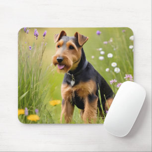 Welsh Terrier In Wildflower Meadow Mouse Mat