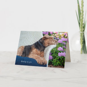 Welsh Terrier on wicker chair birthday Card
