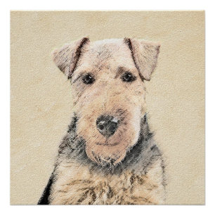 Welsh Terrier Painting - Cute Original Dog Art Poster