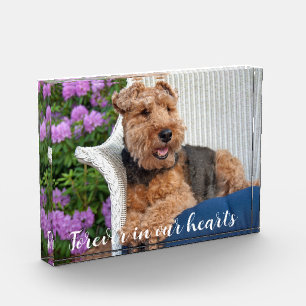 Welsh Terrier Pet Memorial  Photo Block
