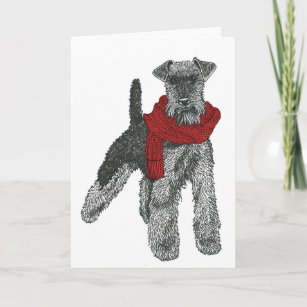 Welsh Terrier, Red. Card