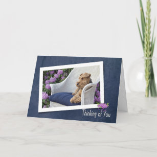 Welsh Terrier thinking of you Card