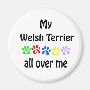 Welsh Terrier Walks Design Magnet