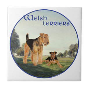Welsh Terriers Tile