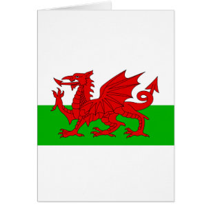 Welsh / Wales Flag - Cymru High Quality Image