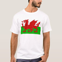 Welsh / Wales Flag - Cymru High Quality Image