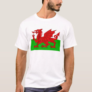 Welsh / Wales Flag - Cymru High Quality Image T-Shirt