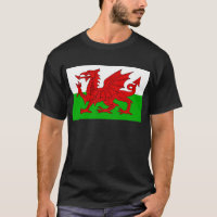 Welsh / Wales Flag - Cymru High Quality Image