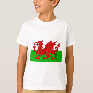 Welsh / Wales Flag - Cymru High Quality Image T-Shirt