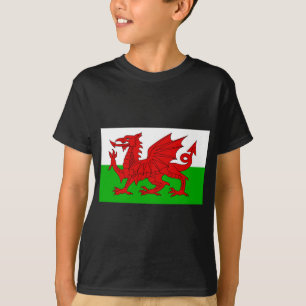 Welsh / Wales Flag - Cymru High Quality Image T-Shirt