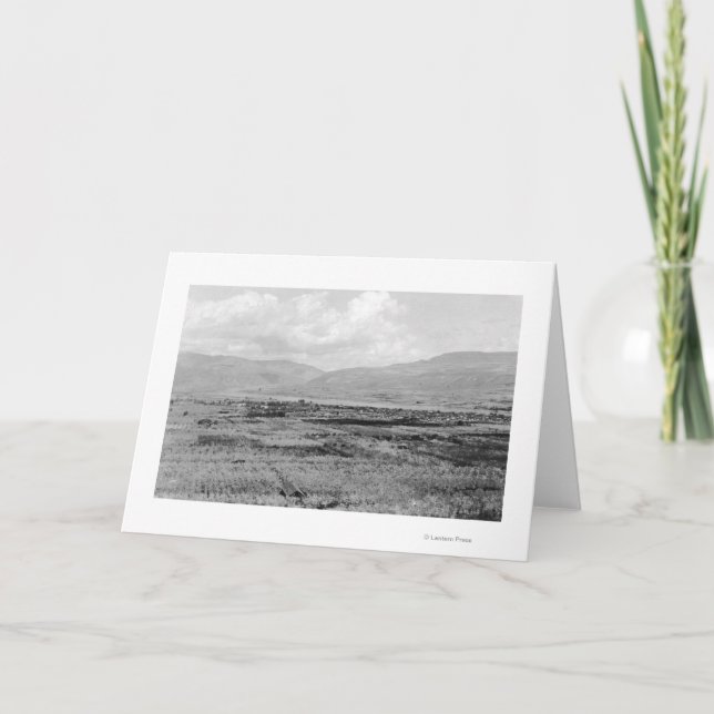 Wenatchee, WA Town View and Orchard Photograph Card (Front)