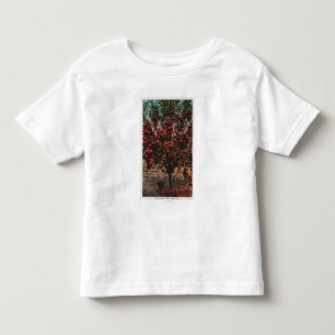 Wenatchee, WAA Wenatchee Valley Apple Tree Toddler T-Shirt
