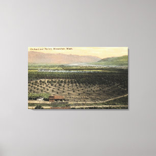 Wenatchee, WashingtonAerial View of an Orchard Canvas Print