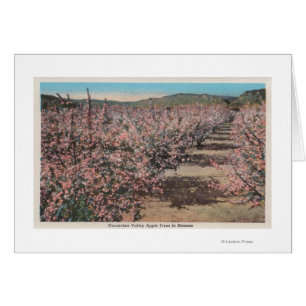 Wenatchee, WAView of Apple Trees in Blossom