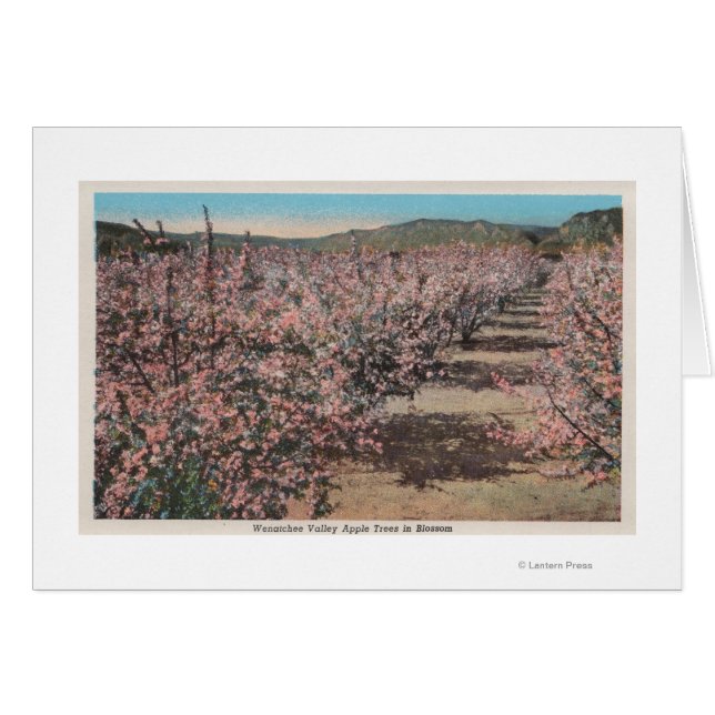 Wenatchee, WAView of Apple Trees in Blossom (Front Horizontal)