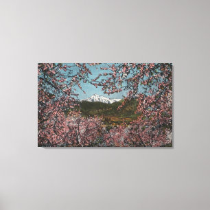 Wenatchee, WAView of Mt. Cashmere with Trees Canvas Print