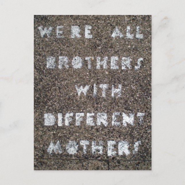 We're All Brothers With Different Mothers Postcard (Front)