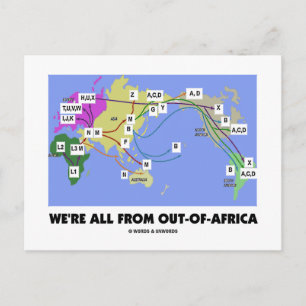 We're All From Out-Of-Africa (Haplogroup) Postcard