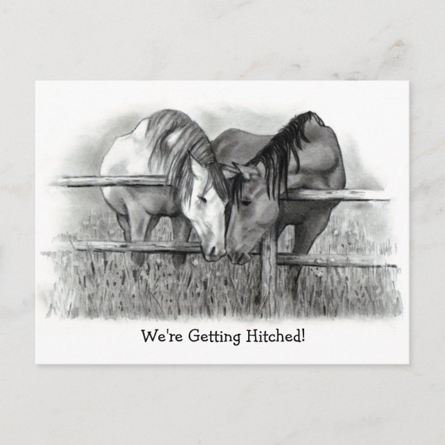 We're Getting Hitched: Horses, Pencil Art, Wedding Invitation Postcard (Front)