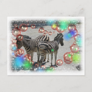 We're Having A Party Animals Postcard