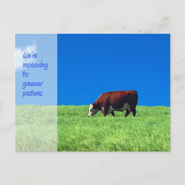 We're Moving Announcement Postcard (Front)