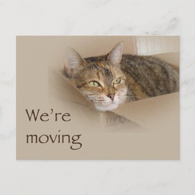 We're Moving Nofitication - Lily Announcement Postcard (Front)