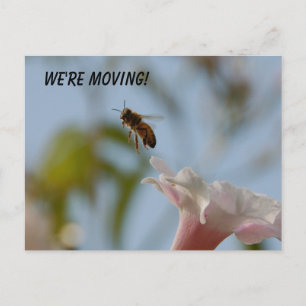 We're Moving Postcard