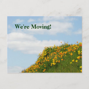 We're Moving! postcards Moved Notice Cards Poppies
