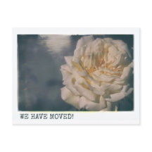 We're Moving Retro Yellow Rose Floral Roses