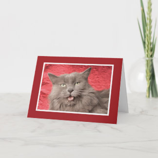 We're Purrfect for Eachother - Customised Holiday Card