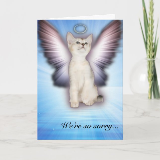 We're so sorry - Cat Sympathy - Group Card (Front)