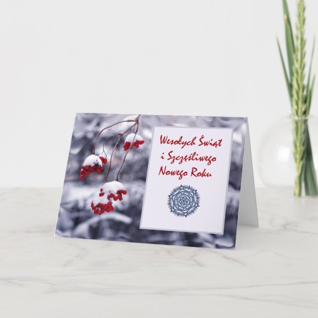Wesolych Swiat, Merry Christmas in Polish, Winter Holiday Card (Front)