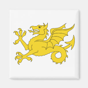 Wessex Dragon Magnet