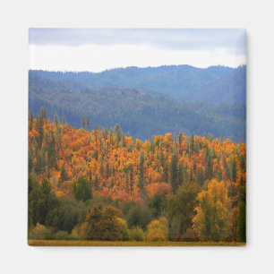 West Coast Fall colours... Magnet