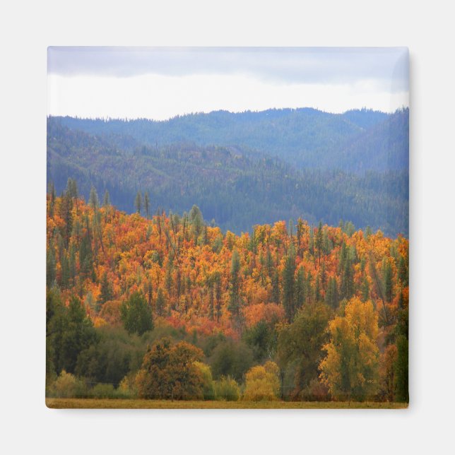 West Coast Fall colours... Magnet (Front)