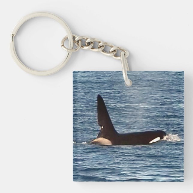 West Coast Killer Whale "John Coe" Orca  Key Ring (Front)
