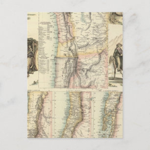 West Coast of South America Postcard