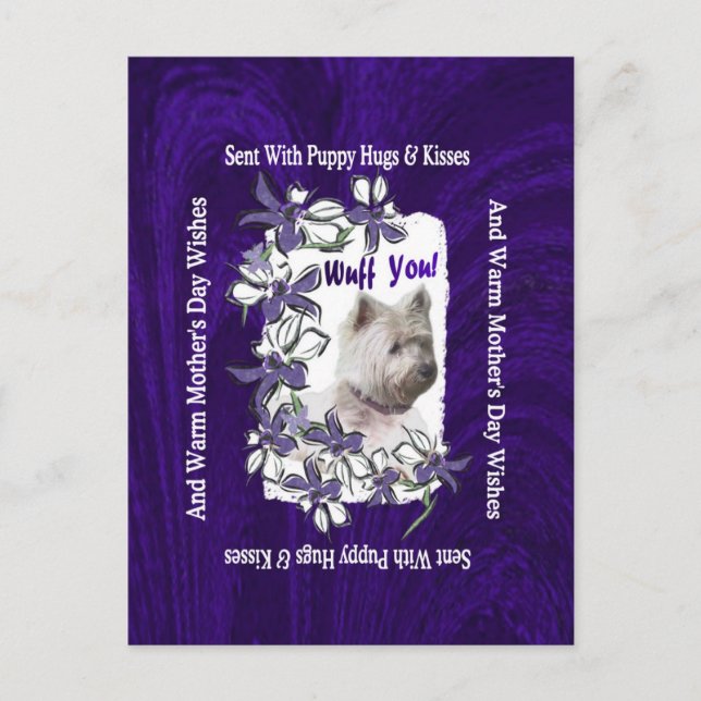 West Highland Terrier Adorable Mothers Day Wishes Postcard (Front)