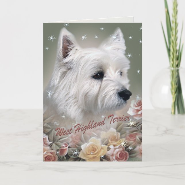 West Highland terrier among roses Cards (Front)