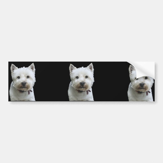 West Highland Terrier Bumper Sticker (Front)