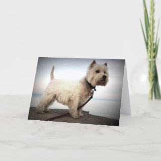 West Highland Terrier Card