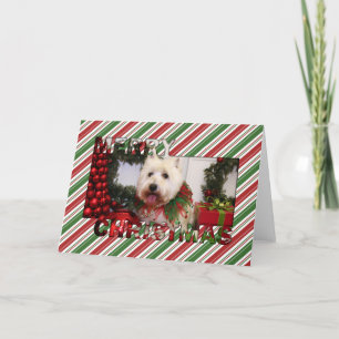West Highland Terrier Christmas Photocard Holiday Card