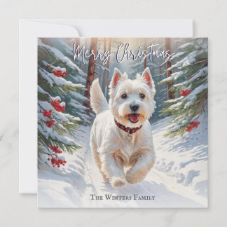 West Highland Terrier Dog Westie In Snow Christmas Holiday Card