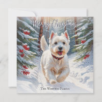West Highland Terrier Dog Westie In Snow Christmas