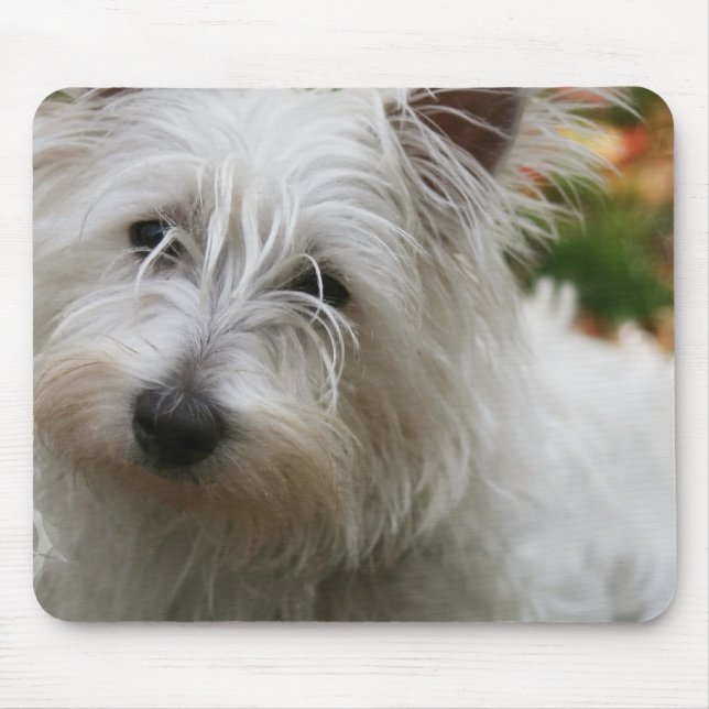 West Highland Terrier Mouse Pad (Front)
