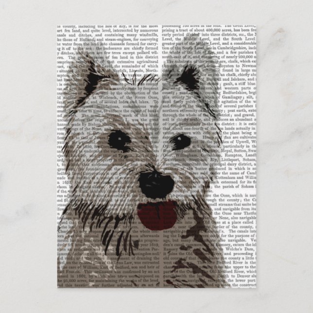 West Highland Terrier Plain Postcard (Front)