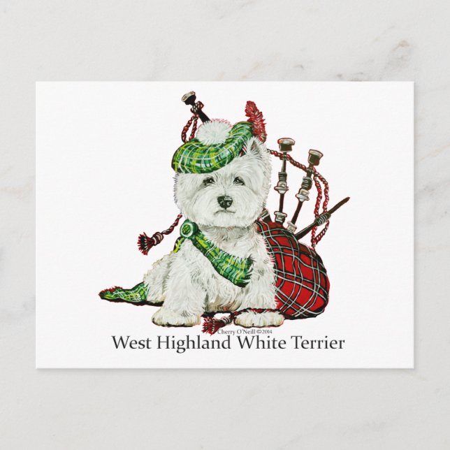 West Highland Terrier Postcard (Front)